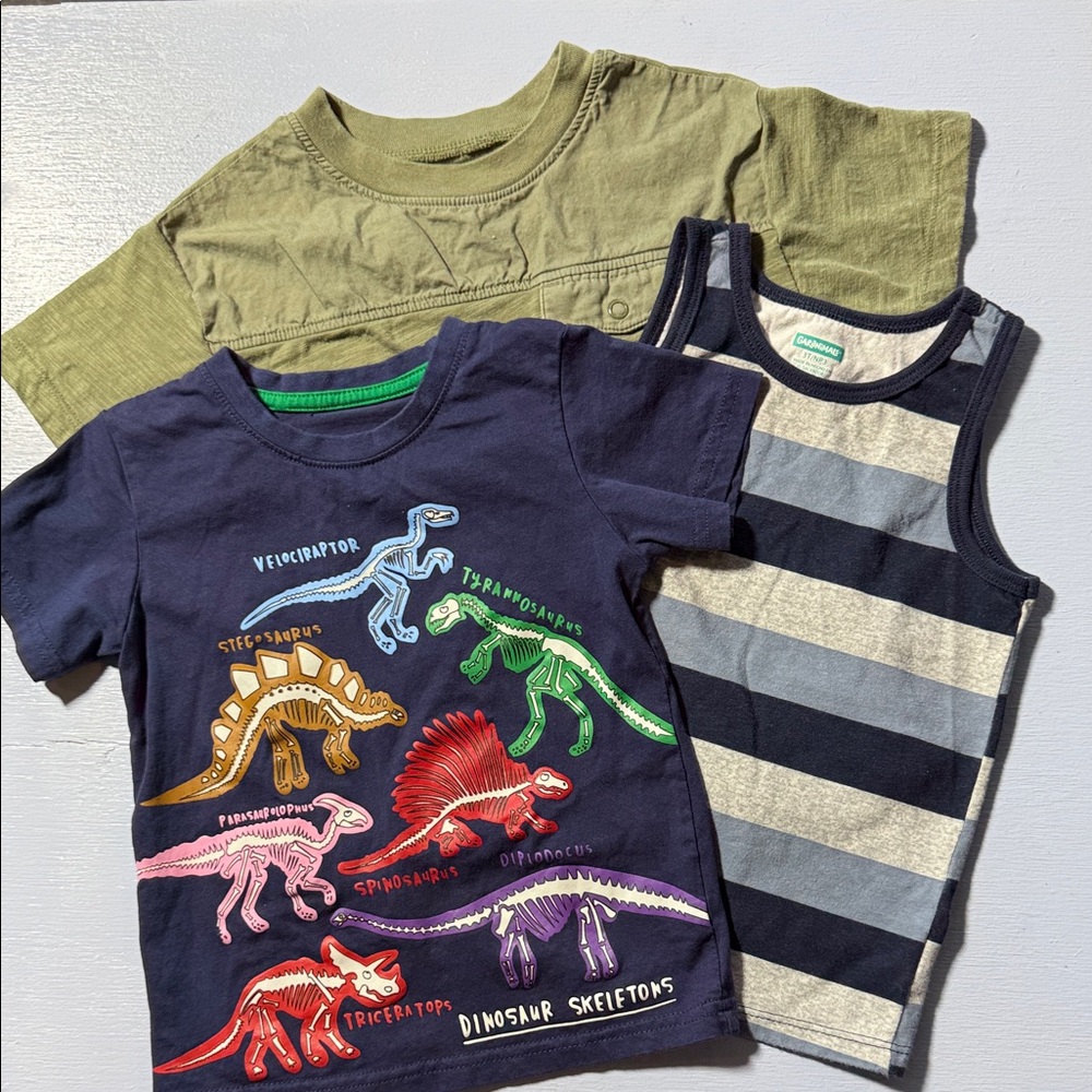 Kids Dinosaur and Striped Tee Set